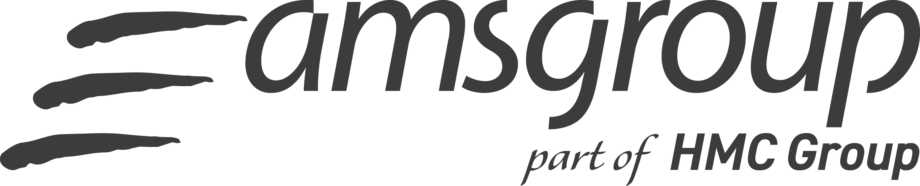 Ams Group En