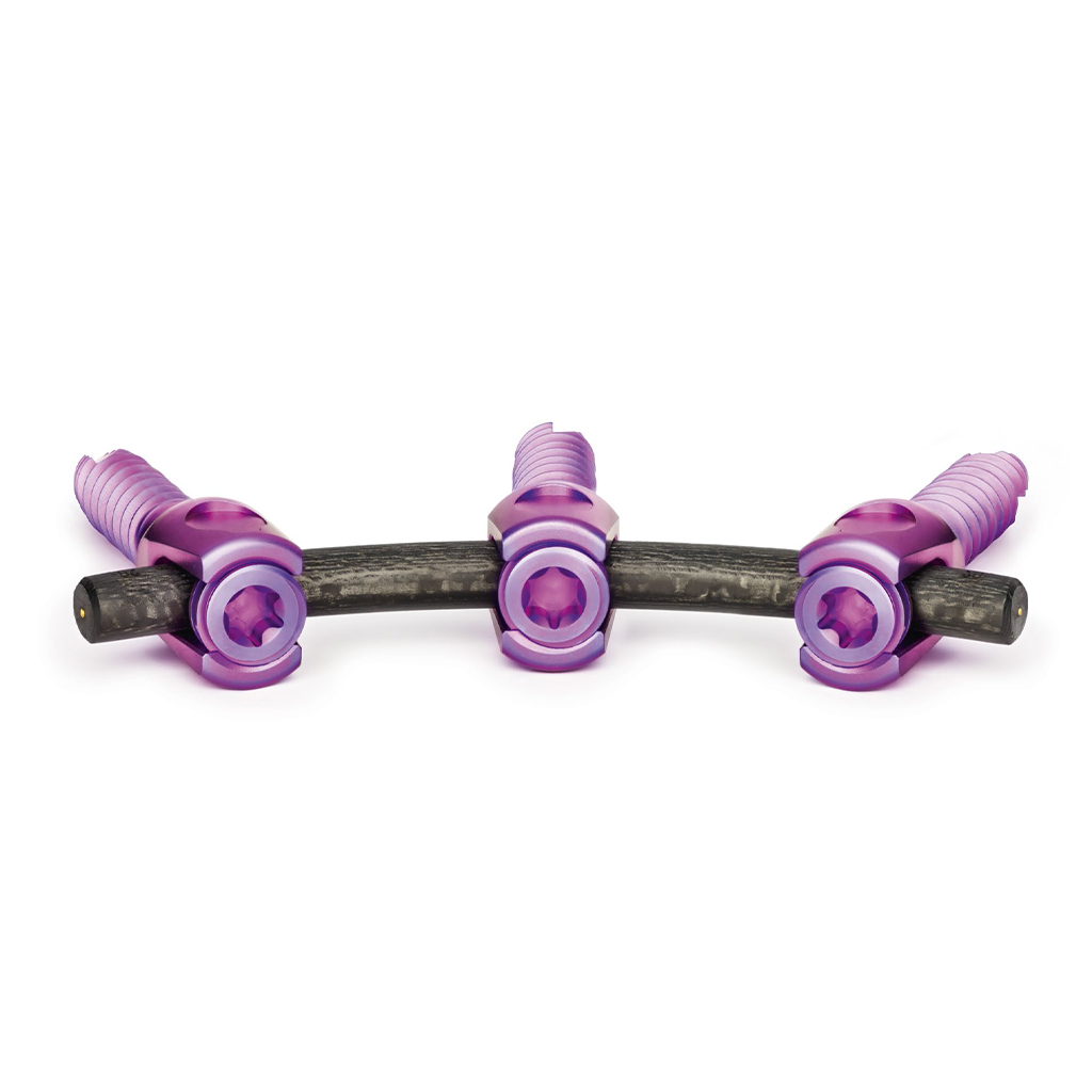Posterior Fixation Systemā
